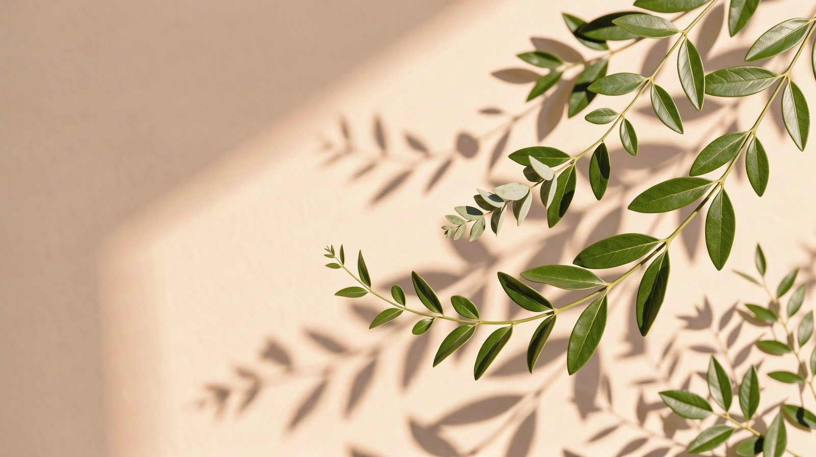 Ботанически елементи